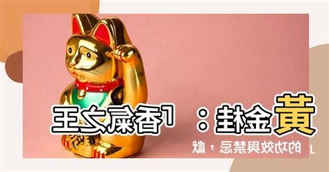 黃金桂禁忌