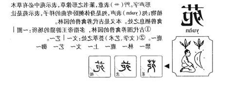 苑意思