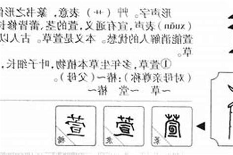 萱的意思名字
