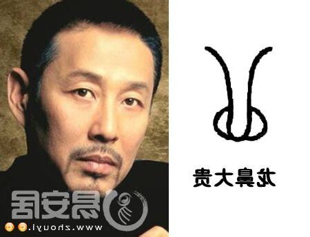 龍鼻面相