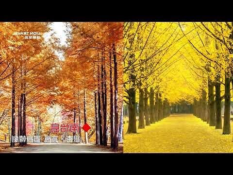 楓寓意