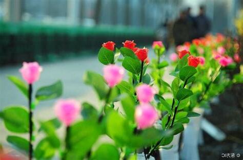 店裡放假花