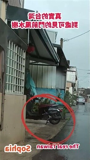 門前風水樹
