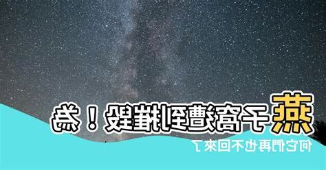 燕子窩破壞