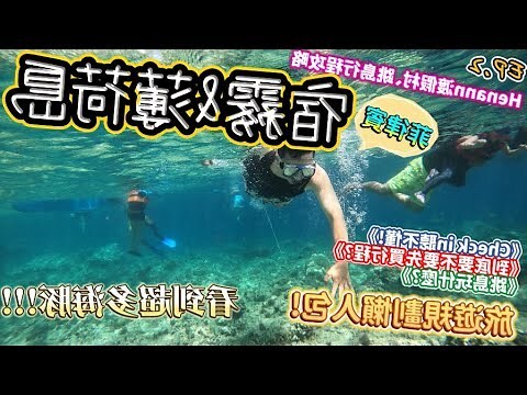 淡薄淡泊