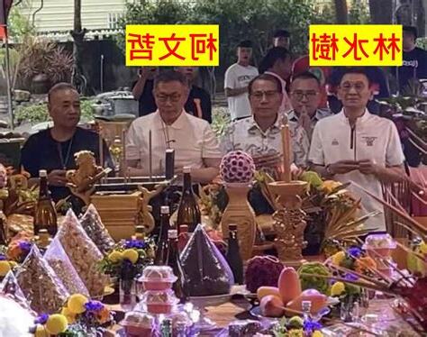 大湖幫林水樹