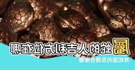屬蛇的方位