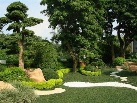 室外植物风水