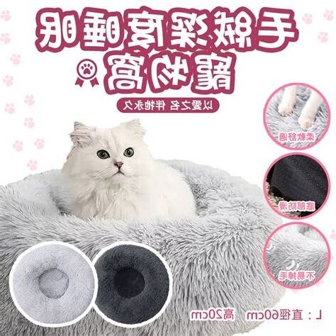 毛絨