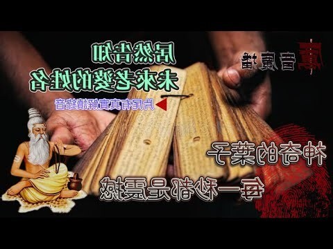 印度葉子算命