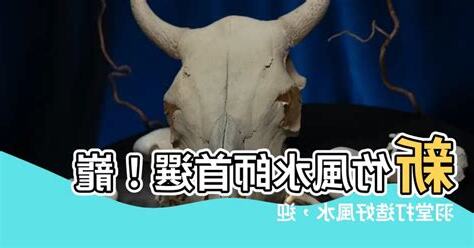 巃羽堂
