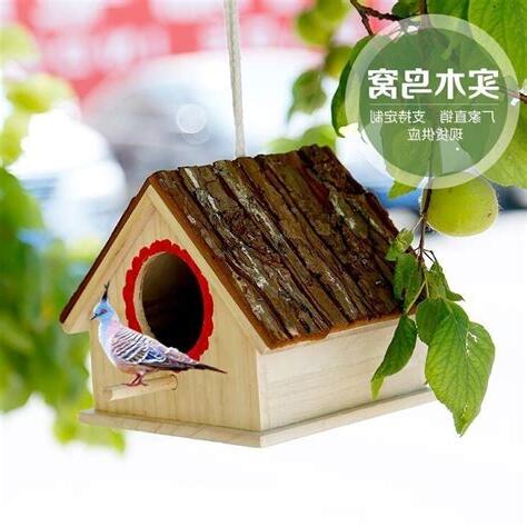 屋檐下有鳥窩