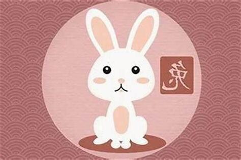属兔的和什么属相最配
