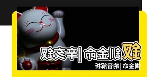 釵釧金命