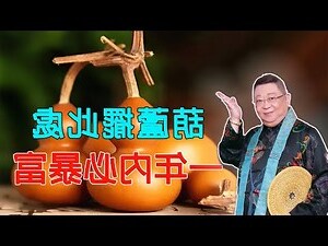 茉草葫蘆功效