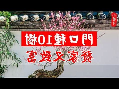 門口種松柏