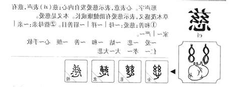 慈字五行