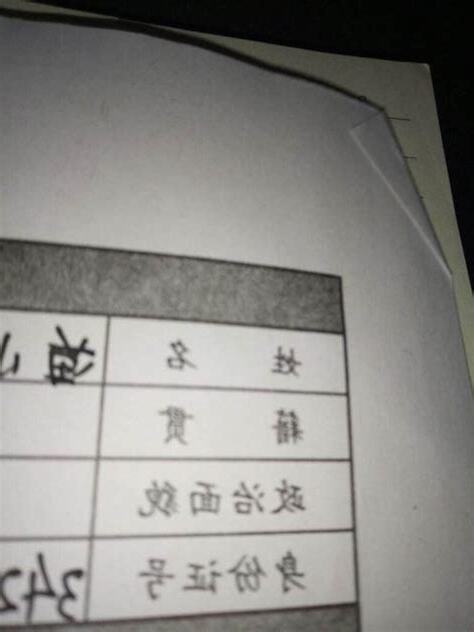 出生意思