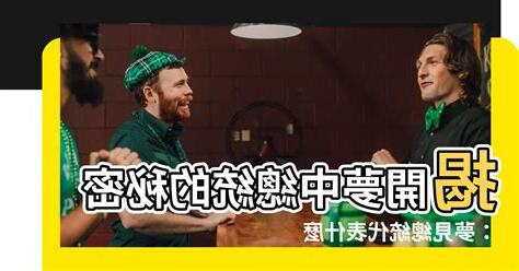 夢見總統代表什麼