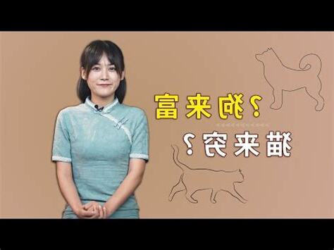 自來貓的預兆