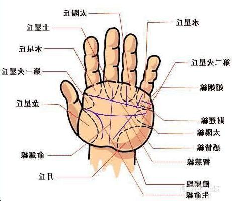 掌相分析
