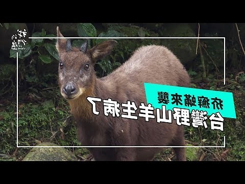 山風蠱疾病