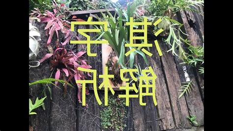 淇姓名學