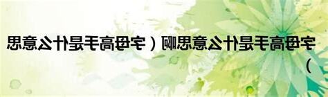 高手意思