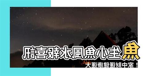 魚生小魚風水