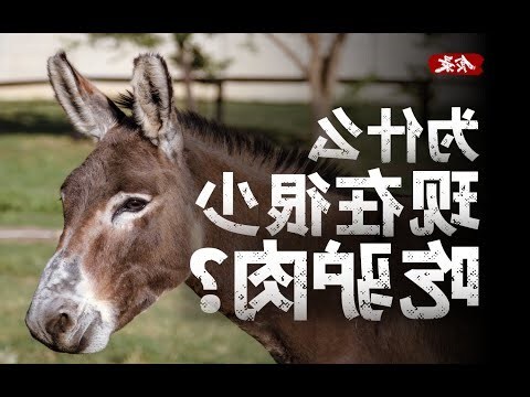 澆驢肉