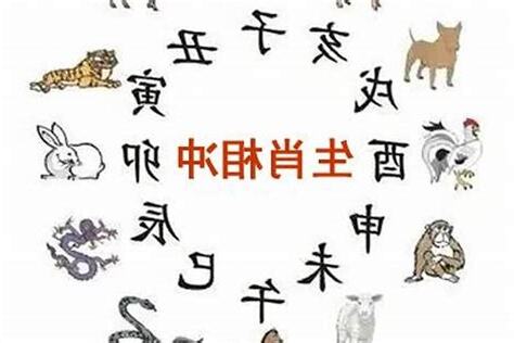 老虎五行属什么