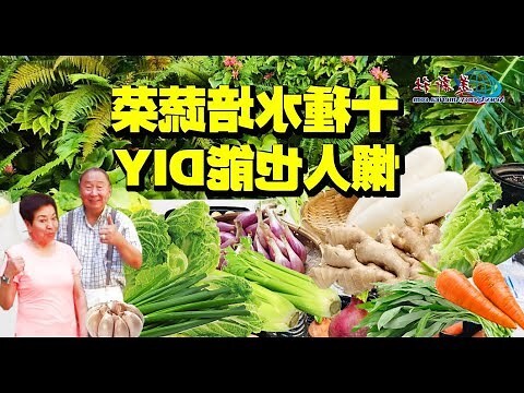 家居水種植物