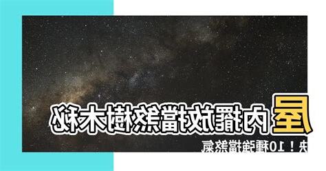 擋煞樹木