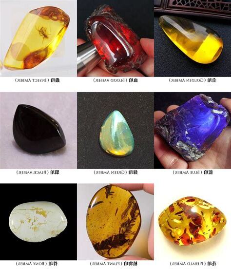 琥珀種類