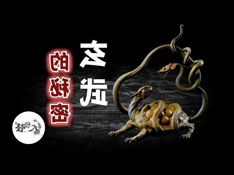 玄武四象