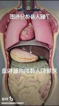 身體部位圖