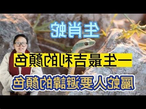 蛇適合什麼顏色