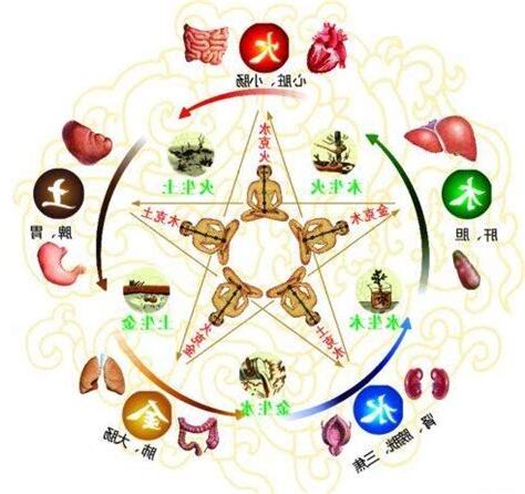 家五行屬性