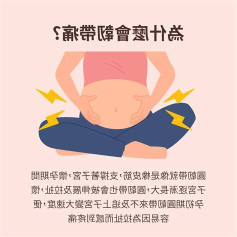 孕婦圓韌帶位置