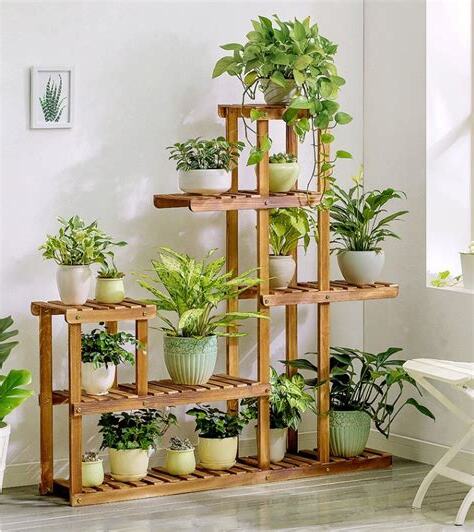 家裡植栽