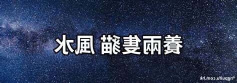 養三隻貓風水
