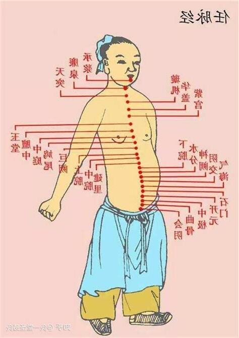 任督二脈走動圖