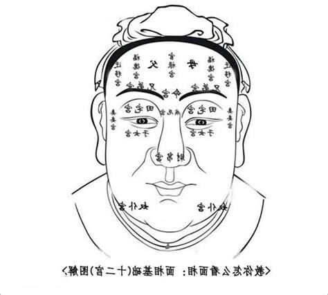 人的面相
