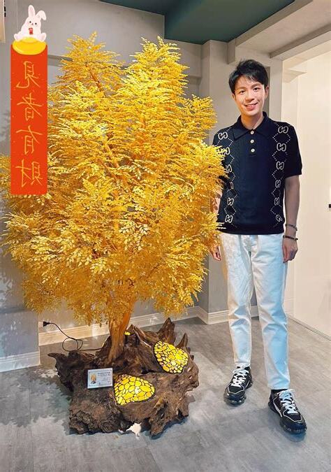 琥珀樹湯鎮瑋