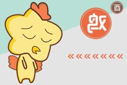 屬雞男配對