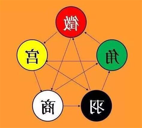 羽的五行