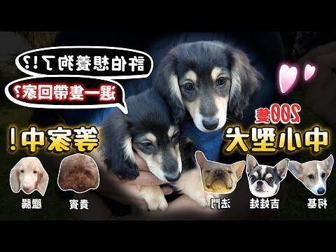 送狗習俗