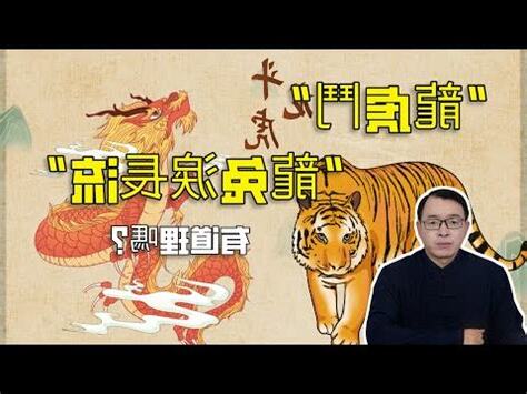 兔龍相害