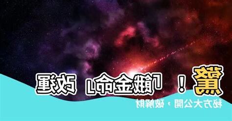 餓金命2023
