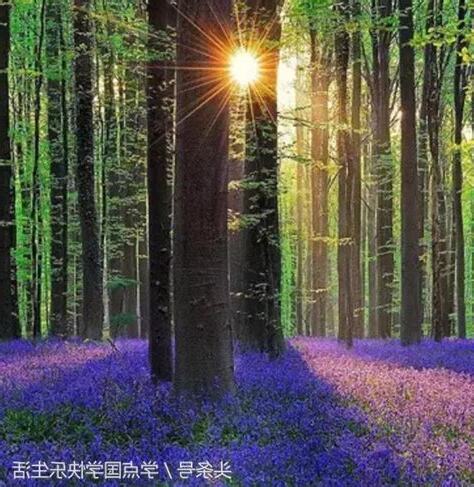 用風景做頭像